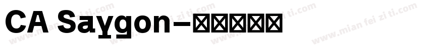 CA Saygon字体转换